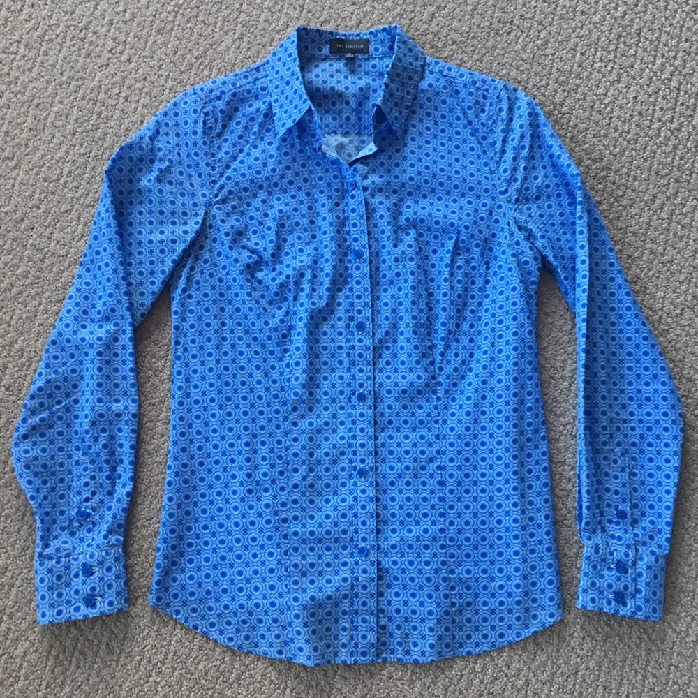 The Limited Blue Button Down Shirt